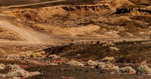 勇士那年没有软蛋！